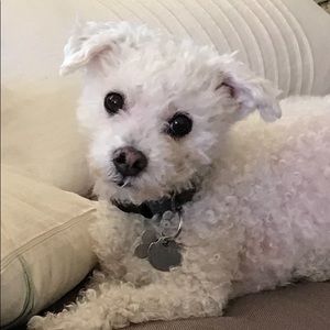 Meet your Posher, Mark